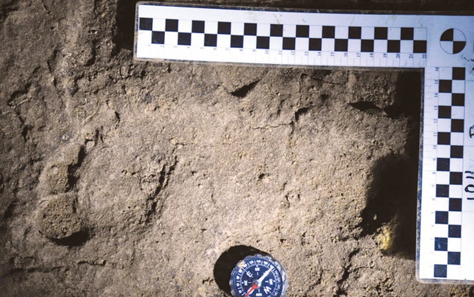 Pegada humana mais antiga já encontrada pode ter mais de 36 mil anos