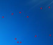 Bolinhas vermelhas tamb�m s�o uma op��o.