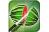 Watermelon Fighter Lite 1.0