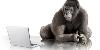 Como funciona o Gorilla Glass, vidro inquebr�vel para celulares e tablets