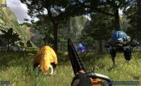 Multiplayer