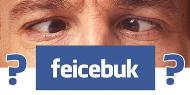 Como os brasileiros mais procuram o Facebook na internet?