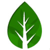 Limetree 