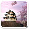 Cherry Blossom Windows 7 Theme 