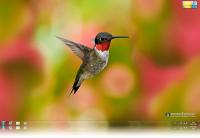 Hummingbird Windows 7 Theme.