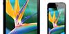 iPhone 5: donos alegam problemas na tela do aparelho [v�deo]