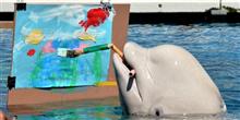 Baleia vira artista e pinta tela no Japo