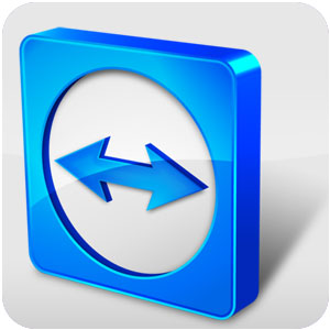 what is difference teamviewer portable and teamviewer
