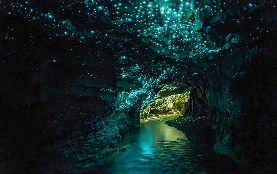 Cavernas estreladas por insetos luminosos dão show de imagens Cavernas estreladas por insetos luminosos dão show de imagens