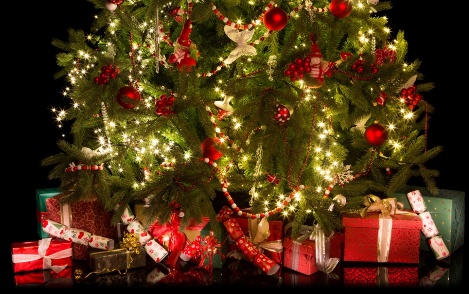 Você sabe por que é que celebramos o Natal no dia 25 de dezembro?