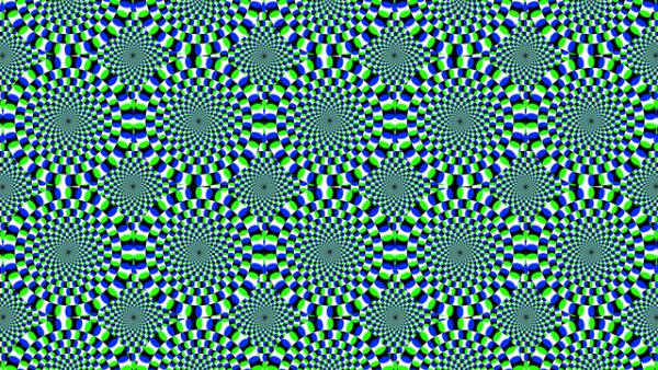 355146173538.jpg