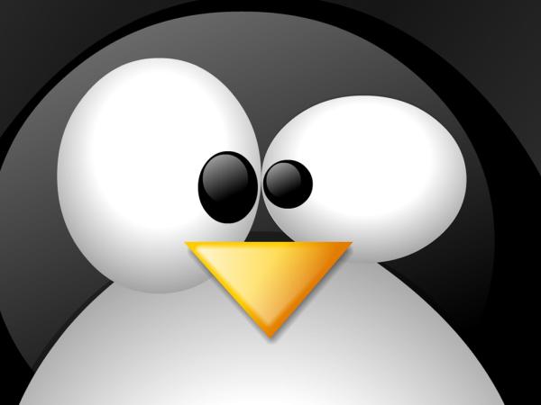 Microsoft deve liberar o pacote Office para o Linux em 2014
