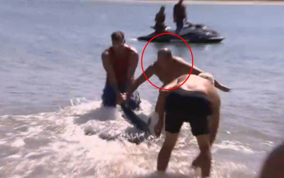 Herói desempregado: homem luta com tubarão e acaba despedido