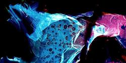 Fotógrafo produz incríveis imagens a partir de bactérias do próprio corpo
