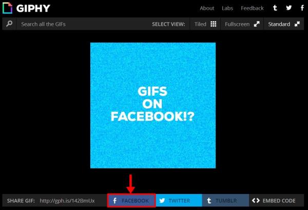 Facebook: como publicar GIFs animados