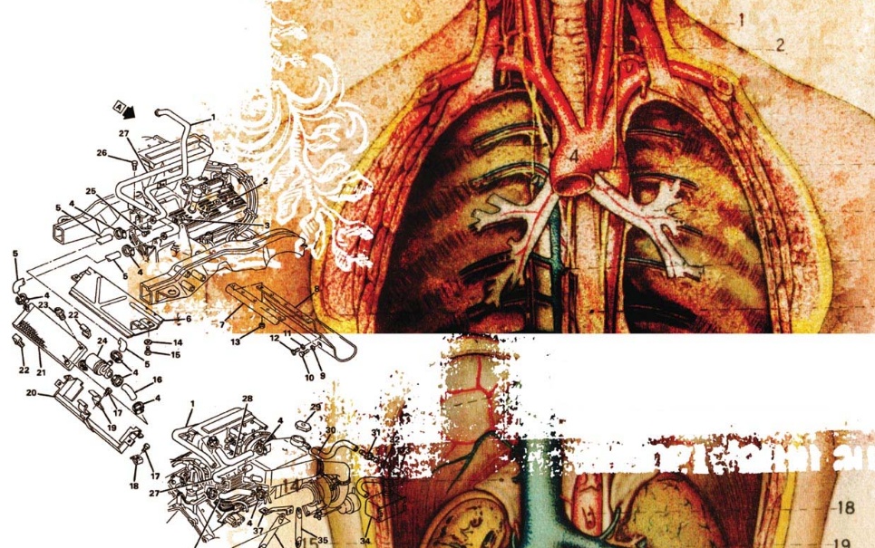 5 fatos incríveis sobre o corpo humano