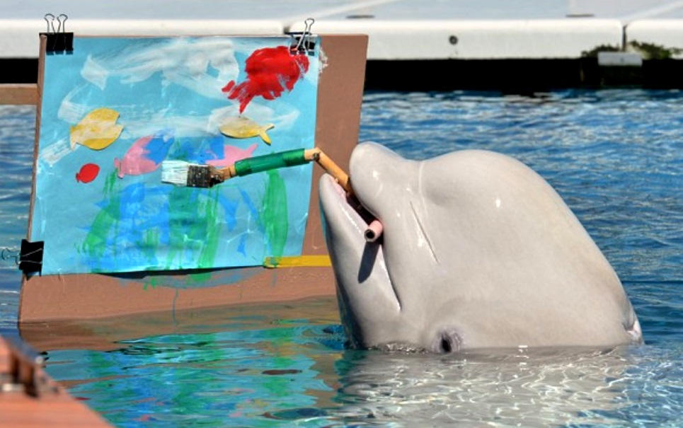 Baleia vira artista e pinta tela no Japão Baleia vira artista e pinta tela no Japão