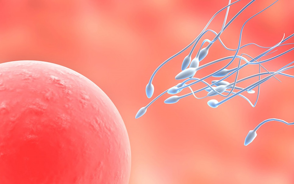 7 fatos que você ainda não sabia sobre esperma