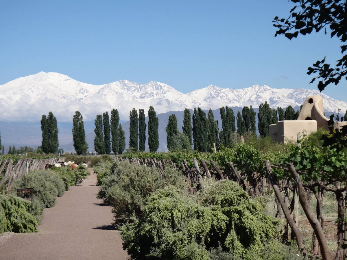 17 - Cavas Wine Lodge, Mendoza, Argentina 
