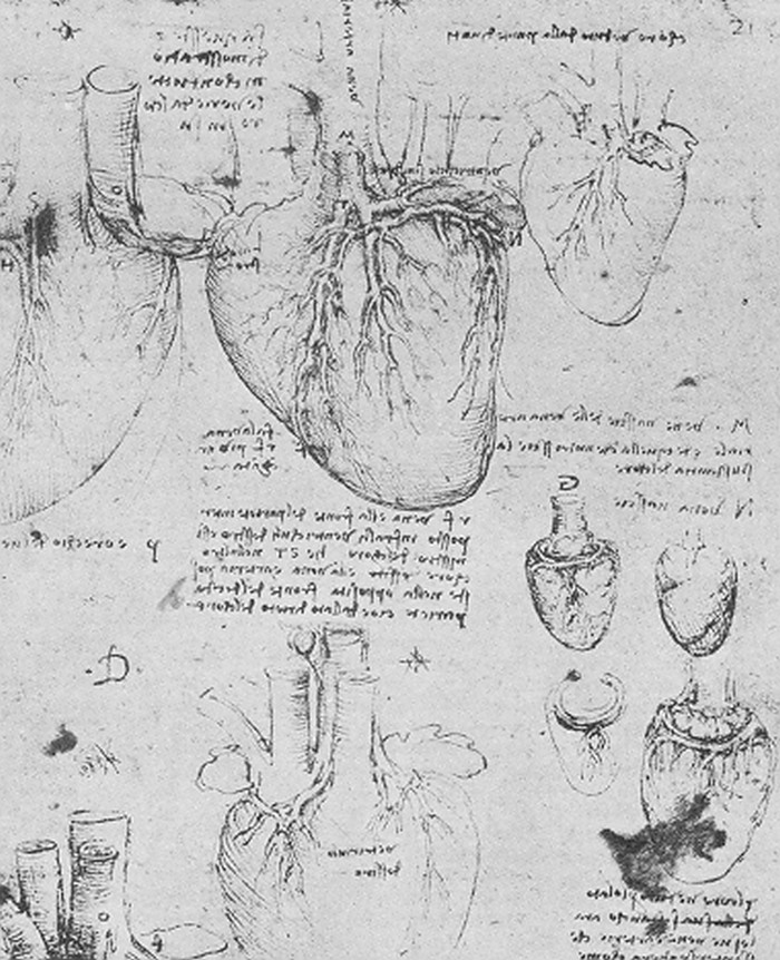 10 curiosidades interessantes sobre o pulso humano