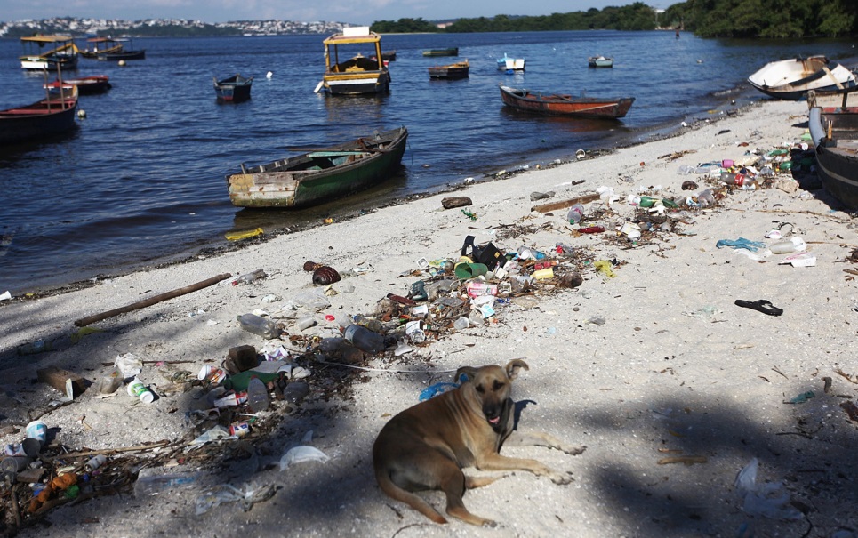 Olimpíadas no Rio: sites divulgam fotos e criticam a Baía de Guanabara