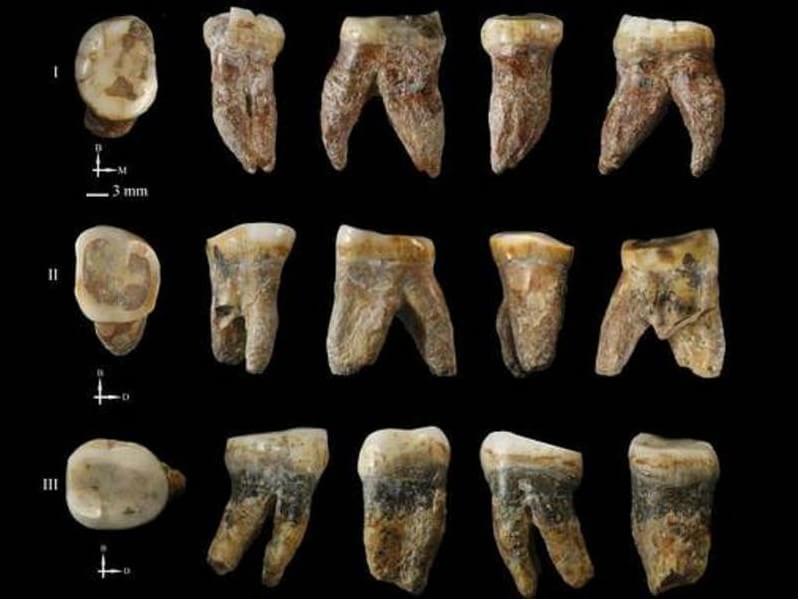 dentes milhares de anos atras dentes milhares de anos atras
