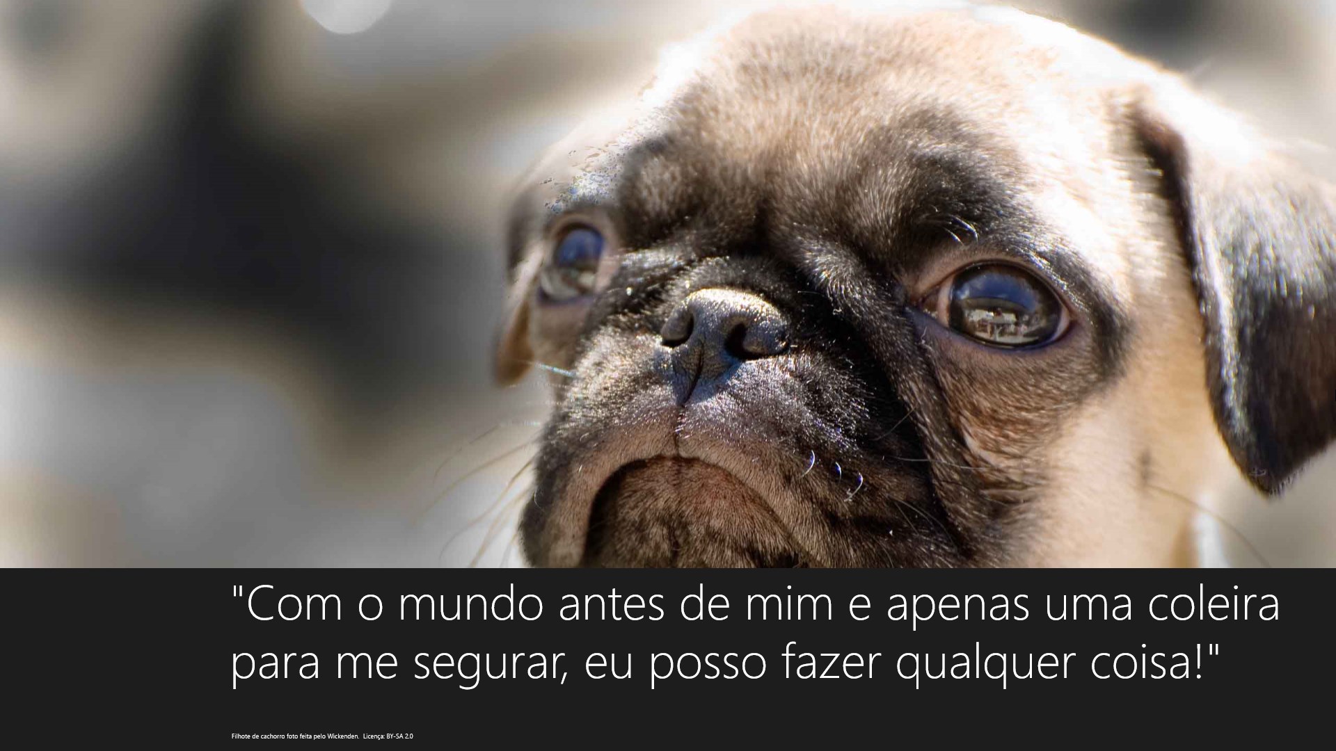 Imagens 2 