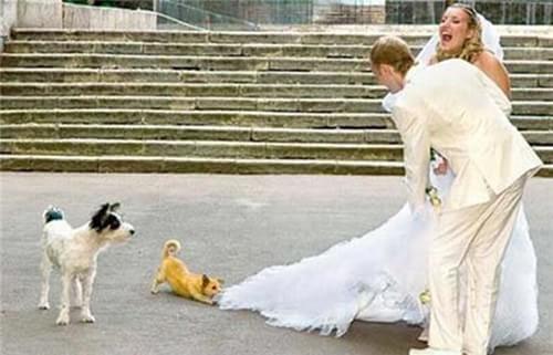 Humor para noivas: fotos engraçadas! 31