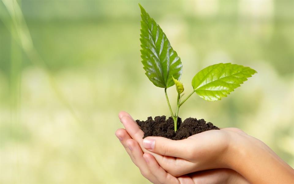 Veja o ranking dos melhores (e dos piores!) países em desempenho ambiental Veja o ranking dos melhores (e dos piores!) países em desempenho ambiental