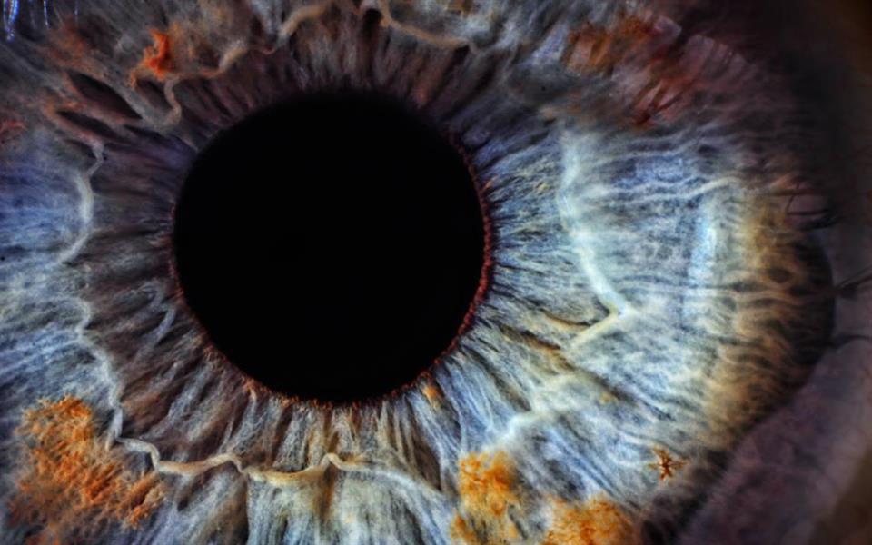 31 fatos insanos sobre os olhos