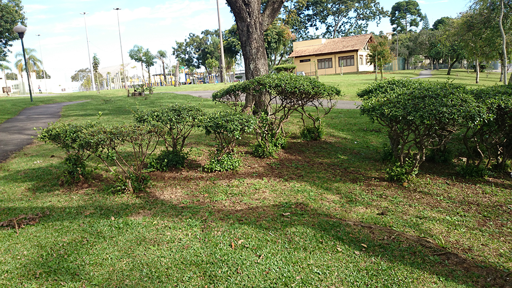 Foto capturada com a câmera em modo automático