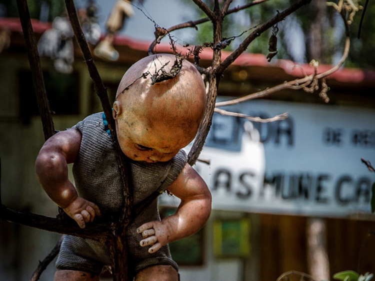 Conheça a história macabra por trás da sinistra Ilha das Bonecas, no México