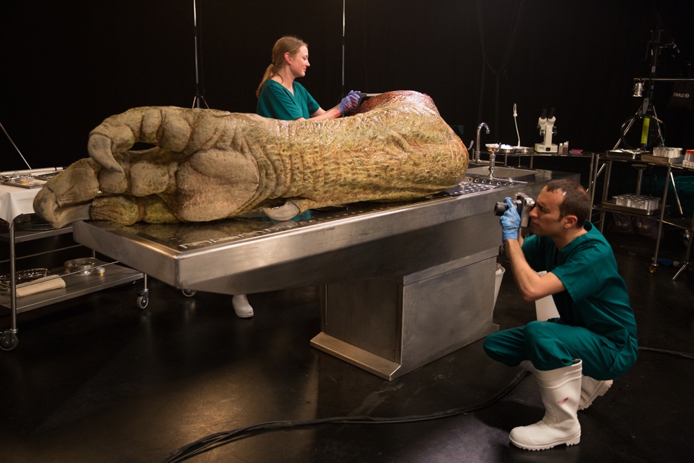 Presas e sangue: confira a autópsia de uma réplica realista de Tiranossauro