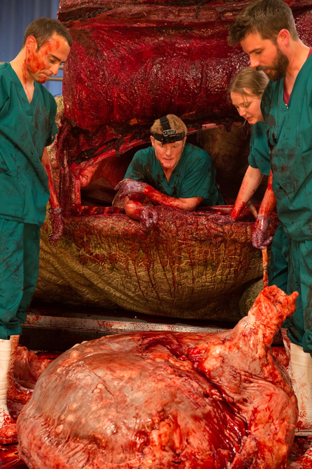 Presas e sangue: confira a autópsia de uma réplica realista de Tiranossauro