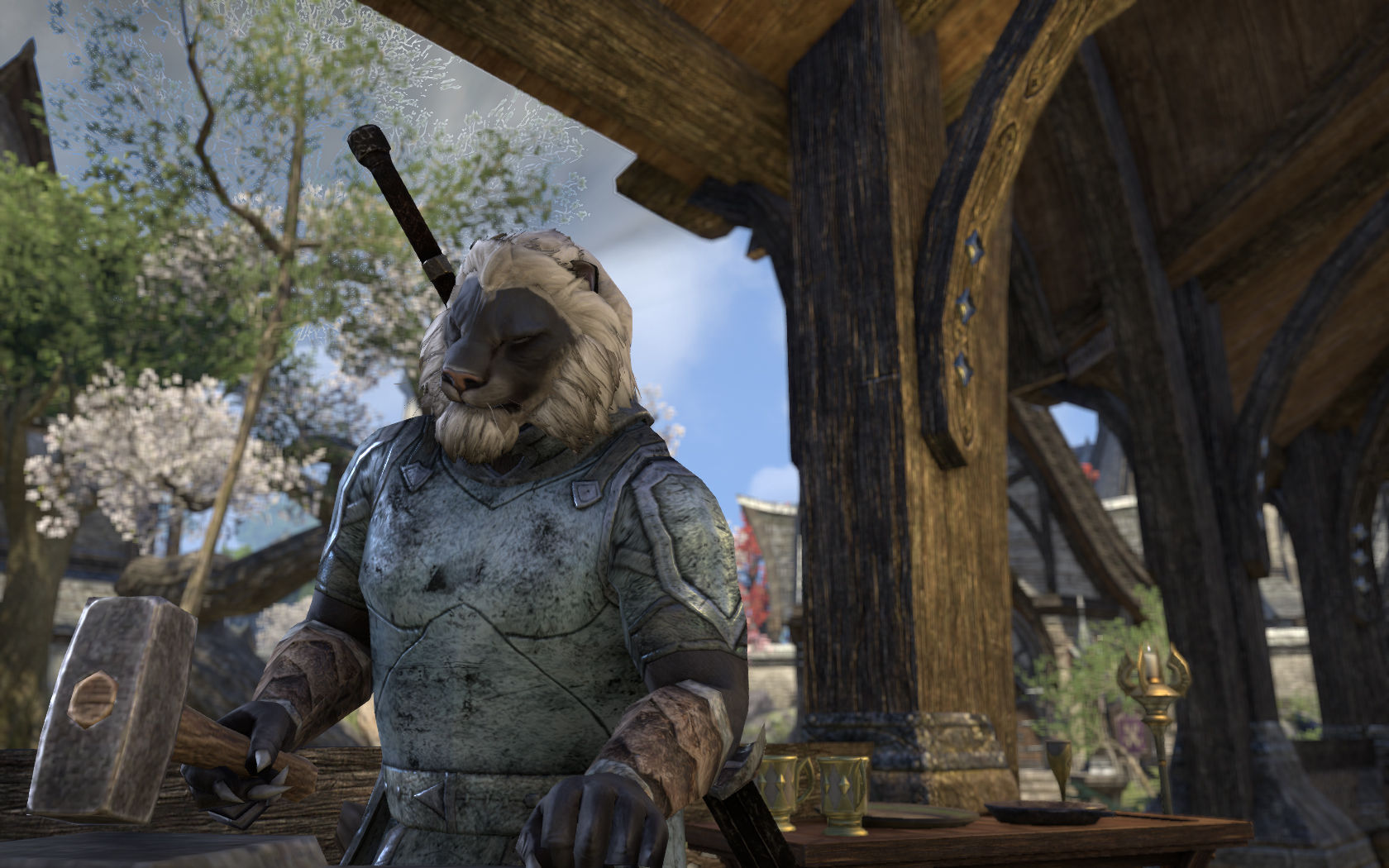 Tamriel de um jeito que você nunca viu ! Tamriel de um jeito que você nunca viu !