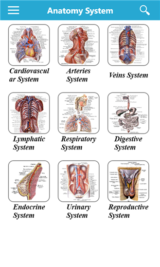 Estudar anatomia humana online
