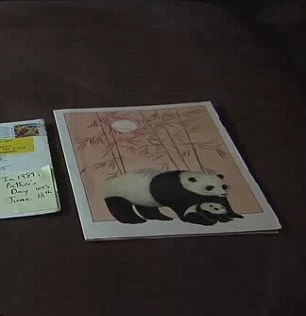 Americano recebe cartão de Dia dos Pais depois de 20 anos da morte do filho