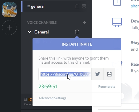 discord in web browser