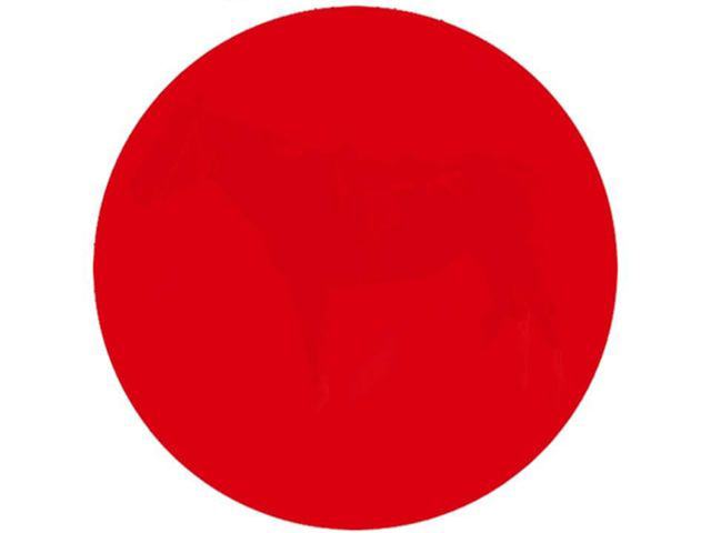 Desafio Infornew: Você consegue enxerga o que está dentro do círculo vermelho?
