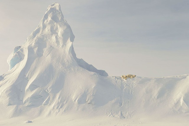 (Foto: John Rollins) (Foto: John Rollins)