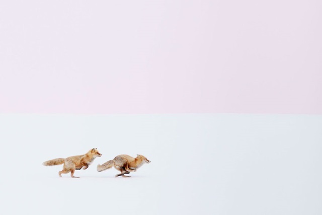 (Foto: Hiroki Inoue) (Foto: Hiroki Inoue)