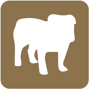 Logo BullGuard Premium Protection 2019 Ícone Logo BullGuard Premium Protection 2019 Ícone
