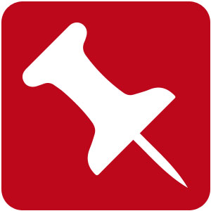 Logo Bulk Pinner Ícone Logo Bulk Pinner Ícone
