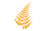 Logo Fern Screen Saver Ícone Logo Fern Screen Saver Ícone