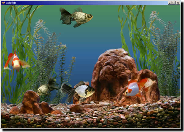 goldfish aquarium prolific publishing