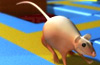 Logo Ratmaster Ícone Logo Ratmaster Ícone