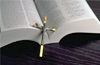 Logo Minha Biblia Ícone Logo Minha Biblia Ícone