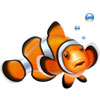 Logo Clownfish Ícone Logo Clownfish Ícone