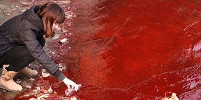 Imagem de: Rio poluído na China parece ser feito de sangue