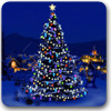 Logo My 3D Christmas Tree Ícone Logo My 3D Christmas Tree Ícone